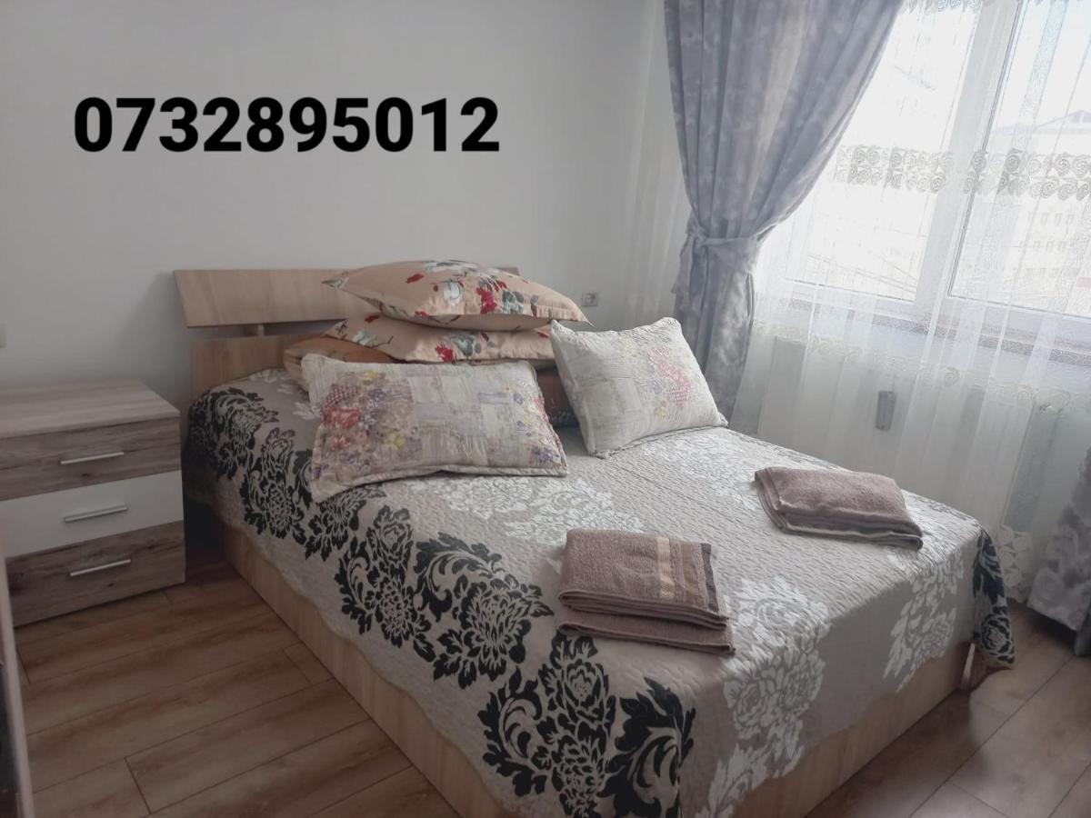 Apartament Bianca Campulung Moldovenesc Bagian luar foto