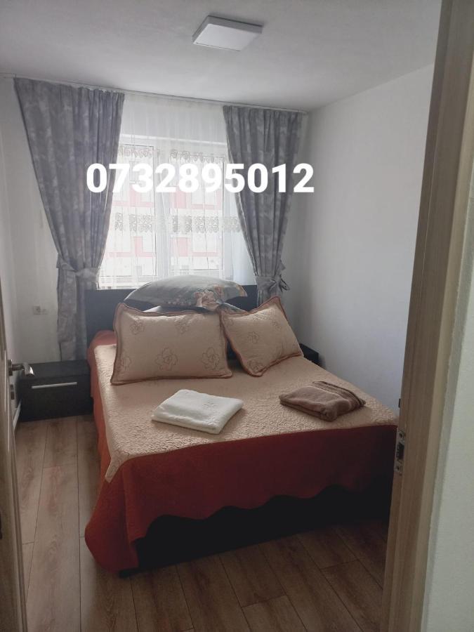 Apartament Bianca Campulung Moldovenesc Bagian luar foto