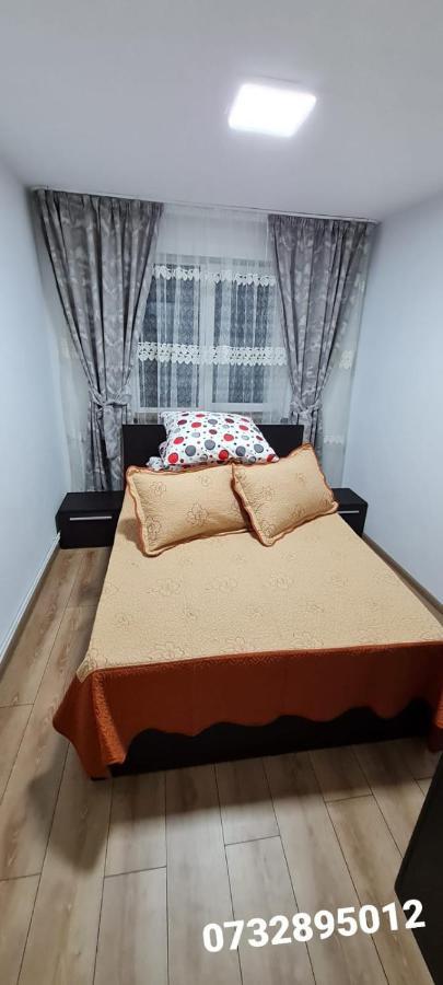 Apartament Bianca Campulung Moldovenesc Bagian luar foto